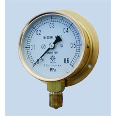 第一計(jì)器 DAIICHI KEIKI  HNT-341B-0.2MPA 通用壓力計(jì)