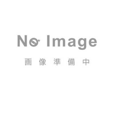 流體工業(yè) RYUTAI  AVP-15A TS 簡易型丙烯酸管流量計